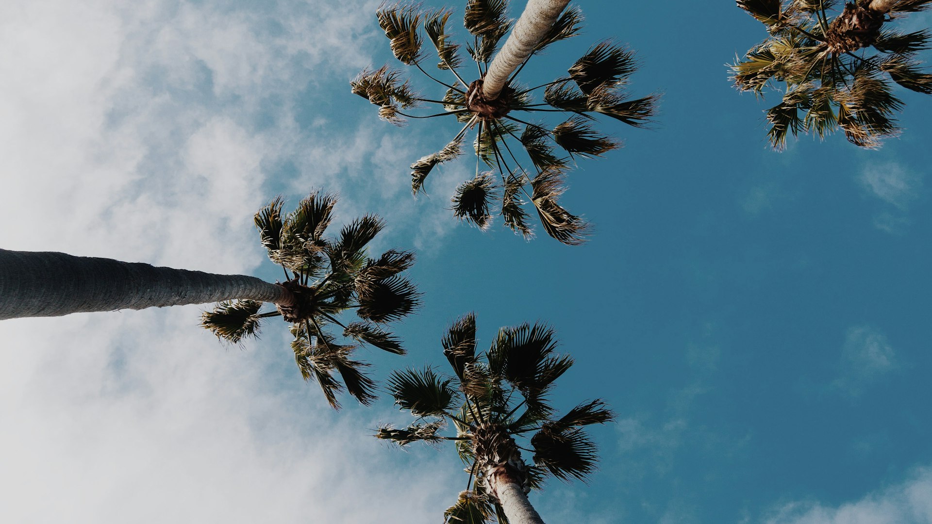 Serene grayscale lake reflection with mountain silhouettes - representing the clear assessment insights and conversational intelligence of HireVue's AI platform